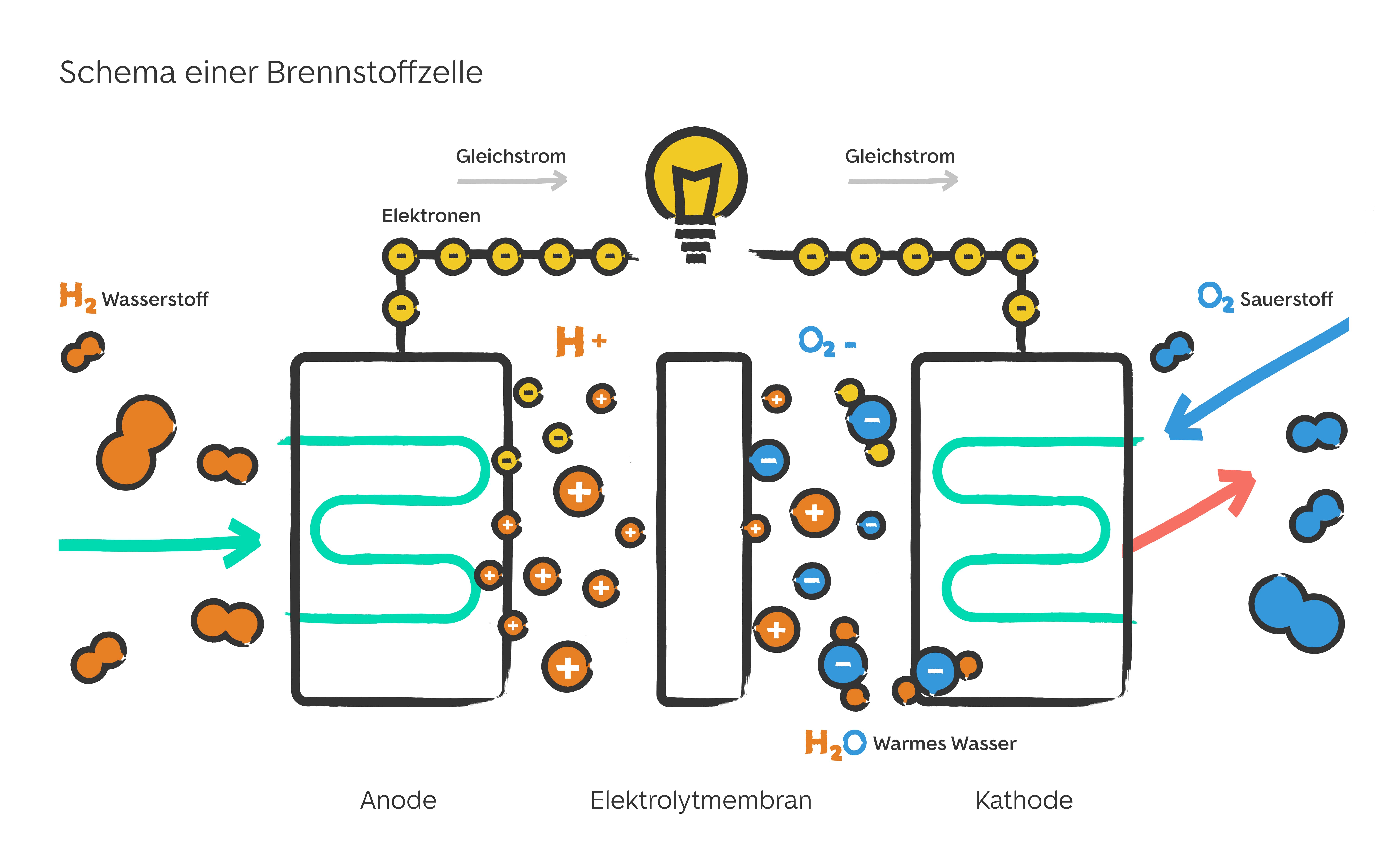 Schema einer Brennstoffzelle