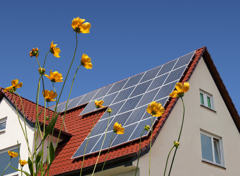 Rotes Hausdach mit Solaranlage und Blumen im Vordergrund