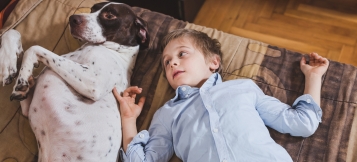 Untersagte Hundehaltung – fristlose Kündigung 